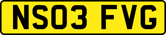 NS03FVG