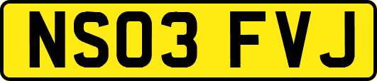 NS03FVJ
