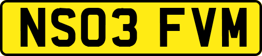 NS03FVM