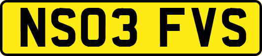 NS03FVS
