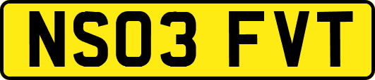 NS03FVT