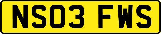 NS03FWS