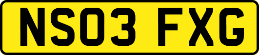 NS03FXG