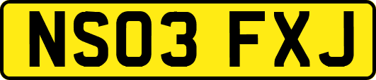 NS03FXJ
