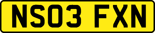 NS03FXN