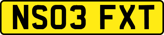 NS03FXT