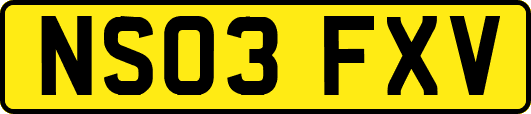NS03FXV