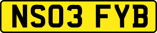 NS03FYB