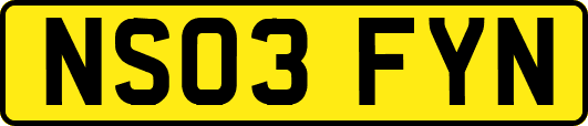NS03FYN