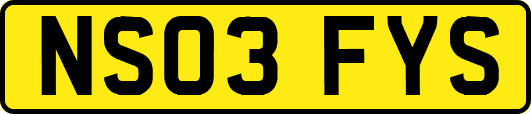 NS03FYS