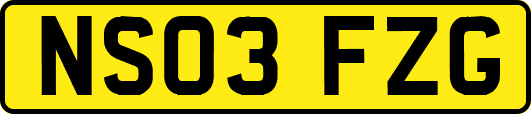 NS03FZG