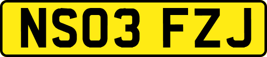 NS03FZJ