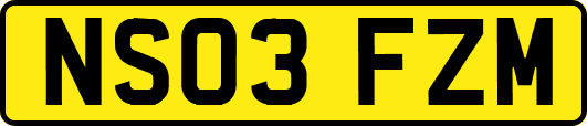 NS03FZM