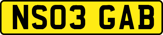 NS03GAB