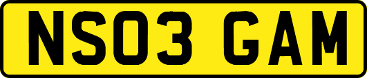NS03GAM