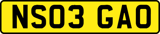 NS03GAO