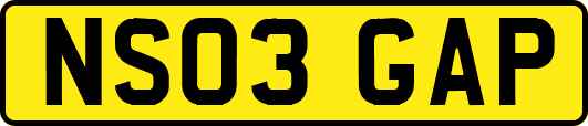 NS03GAP