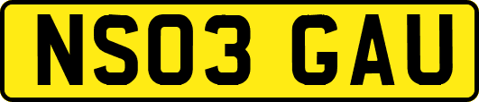 NS03GAU