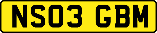 NS03GBM