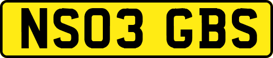 NS03GBS