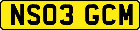 NS03GCM