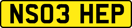 NS03HEP
