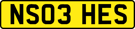 NS03HES