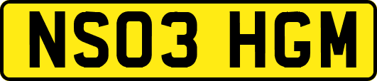 NS03HGM