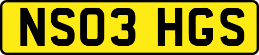 NS03HGS