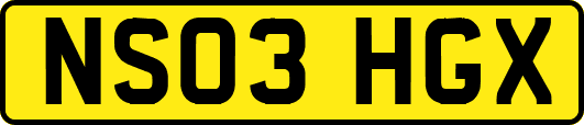 NS03HGX