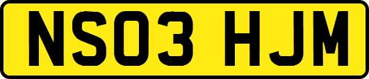 NS03HJM