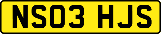 NS03HJS