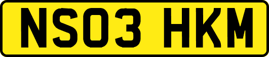 NS03HKM