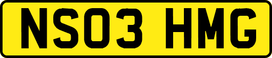 NS03HMG