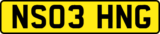 NS03HNG