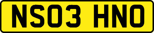 NS03HNO