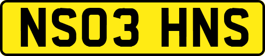 NS03HNS