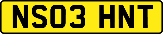 NS03HNT