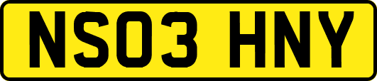 NS03HNY