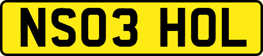 NS03HOL