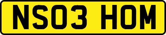 NS03HOM