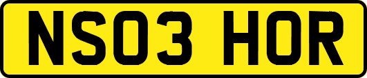 NS03HOR