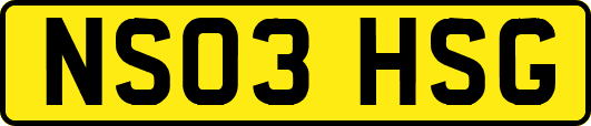 NS03HSG
