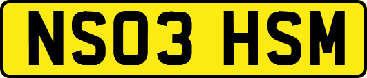 NS03HSM