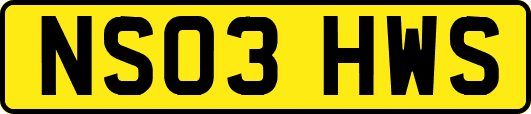 NS03HWS