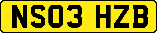 NS03HZB