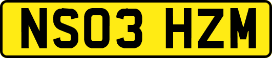 NS03HZM