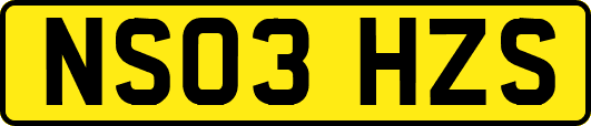 NS03HZS