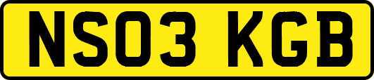 NS03KGB