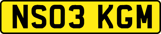 NS03KGM